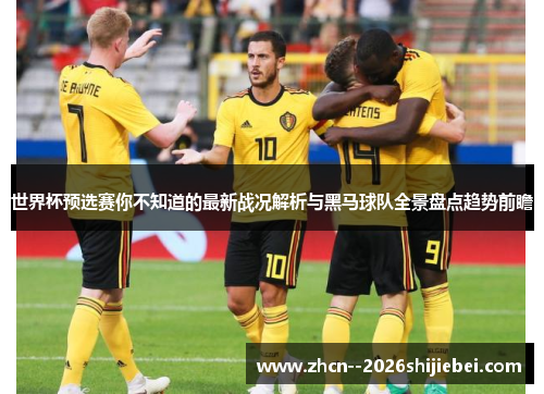 世界杯预选赛你不知道的最新战况解析与黑马球队全景盘点趋势前瞻