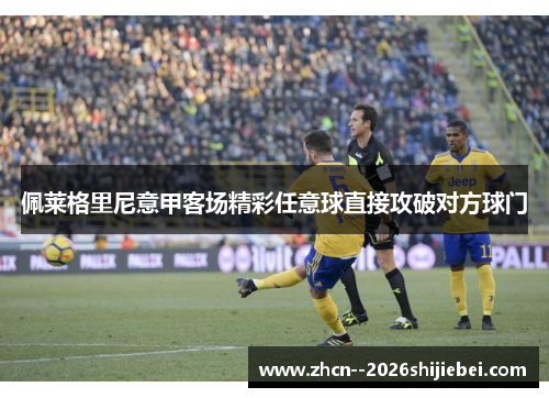 佩莱格里尼意甲客场精彩任意球直接攻破对方球门 佩莱格里尼意甲客场精彩任意球直接攻破对方球门